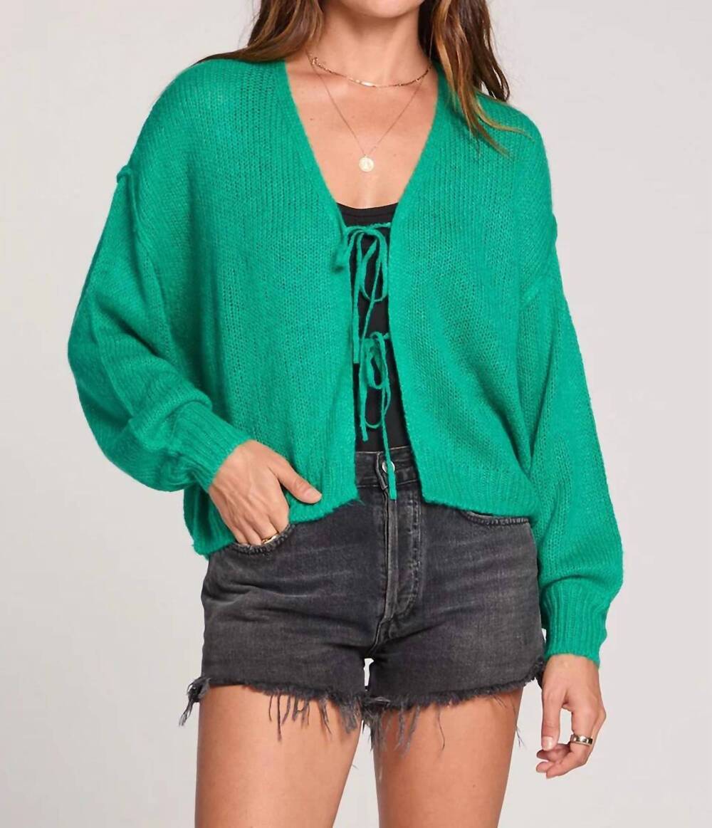 NEW SALTWATER LUXE ellyn sweater in green